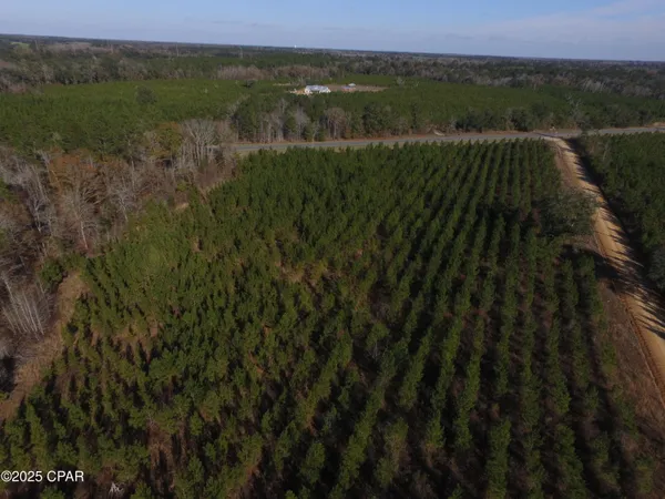 $50,000 | Tbd Lot 1 Tbd Road, Cottondale, FL 32431