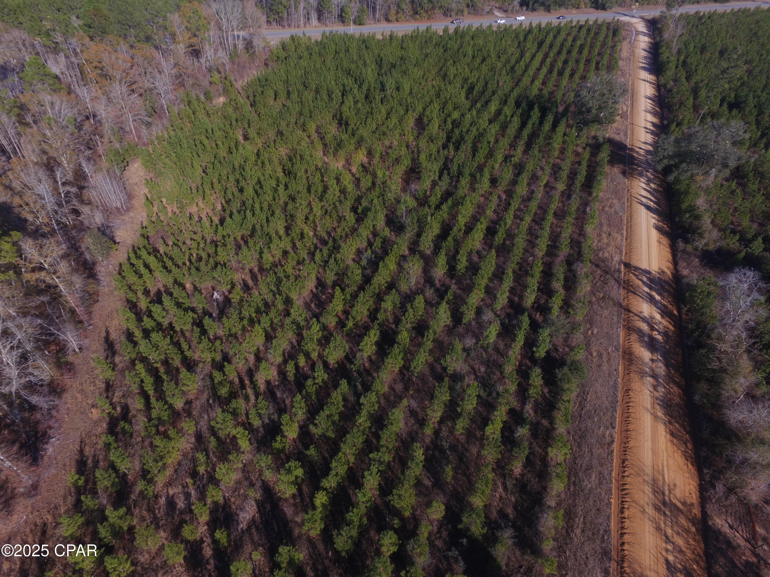 Tbd Lot 1 Tbd Road Cottondale, FL 32431 - Photo 20 of 23