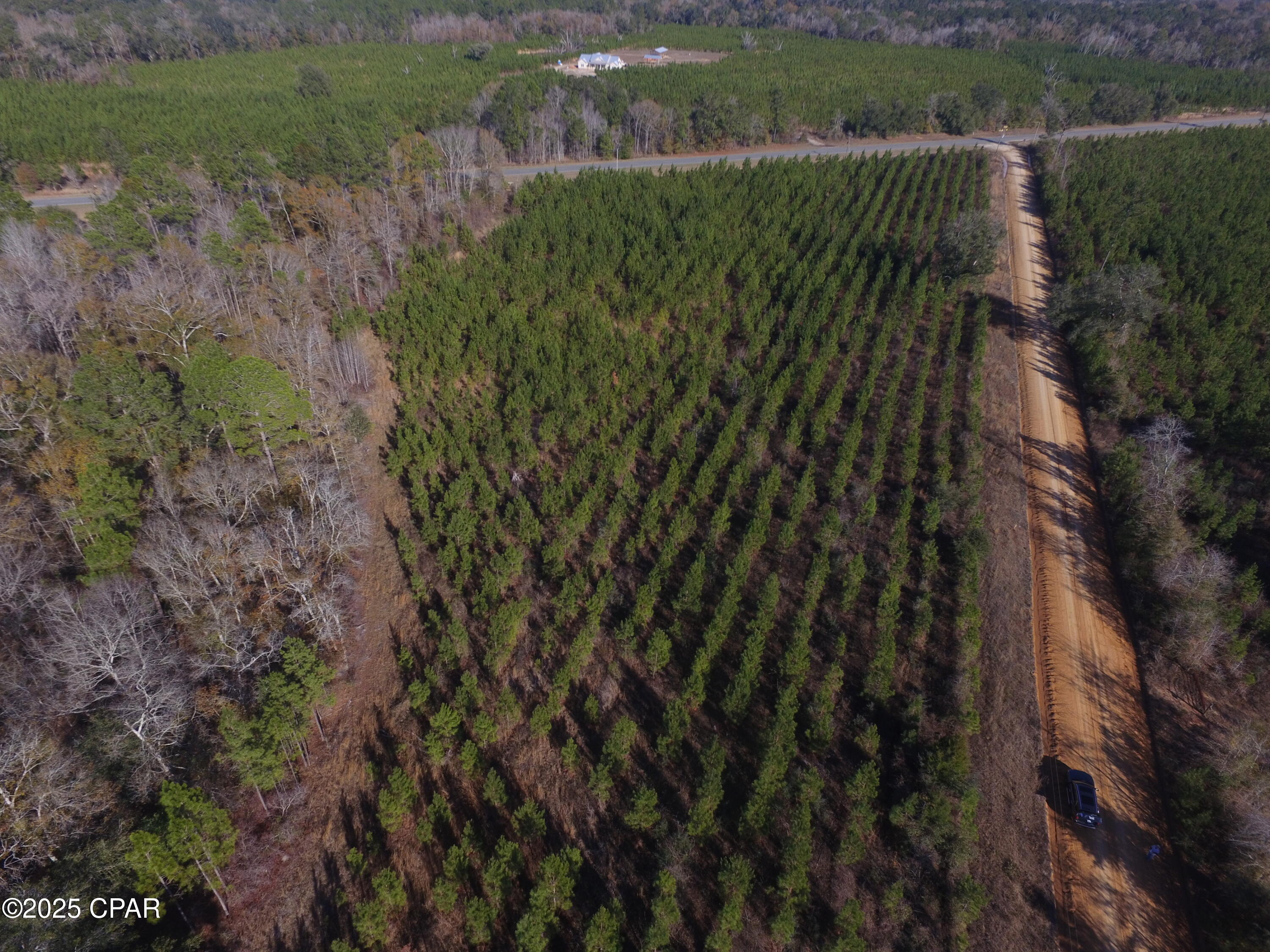 Tbd Lot 1 Tbd Road Cottondale, FL 32431 - Photo 22 of 23