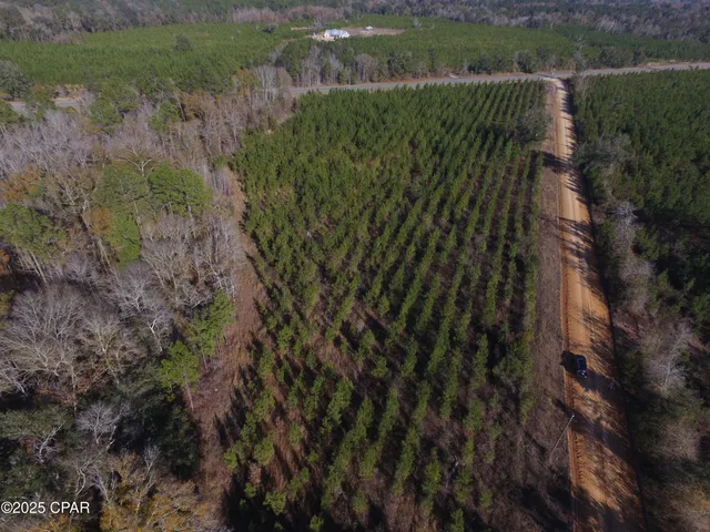 $50,000 | Tbd Lot 1 Tbd Road, Cottondale, FL 32431