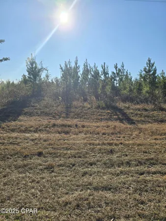 $50,000 | Tbd Lot 1 Tbd Road, Cottondale, FL 32431