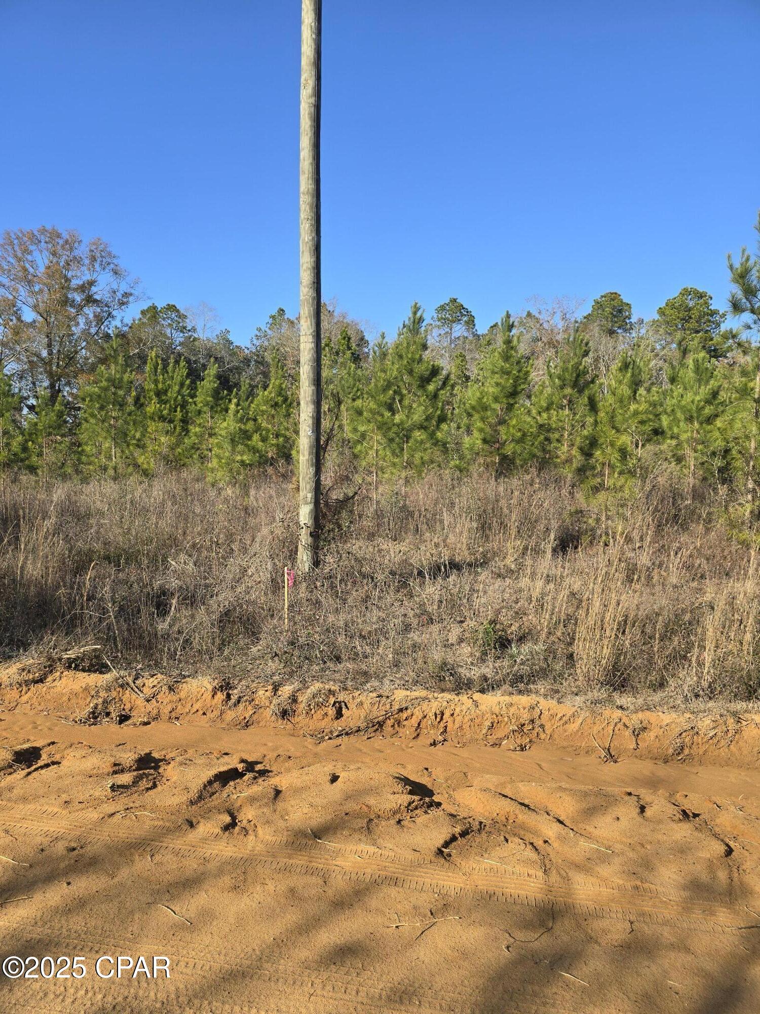 Tbd Lot 1 Tbd Road Cottondale, FL 32431 - Photo 8 of 23