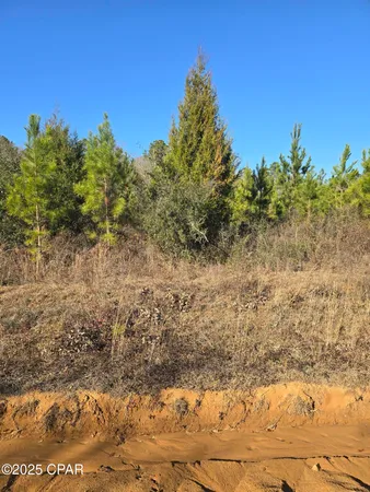 $50,000 | Tbd Lot 1 Tbd Road, Cottondale, FL 32431