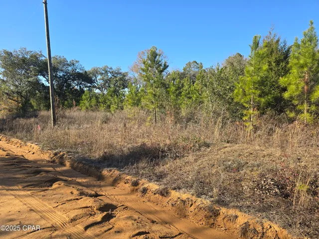 $50,000 | Tbd Lot 1 Tbd Road, Cottondale, FL 32431