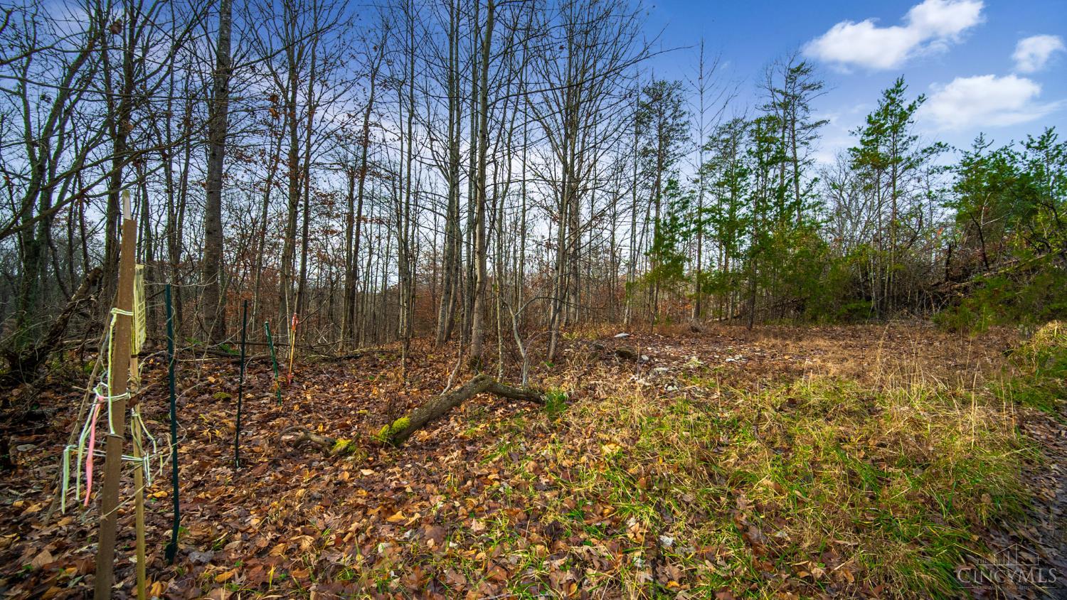 435 Bruemmer Road Manchester, OH 45144 - Photo 5 of 9 Gallery Image 5