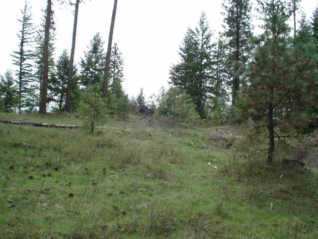 30410 North Findley Road Chattaroy, WA 99003 - Photo 3 of 7 Gallery Image 3