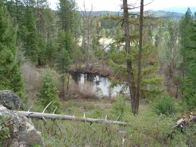 30410 North Findley Road Chattaroy, WA 99003 - Photo 4 of 7 Gallery Image 4