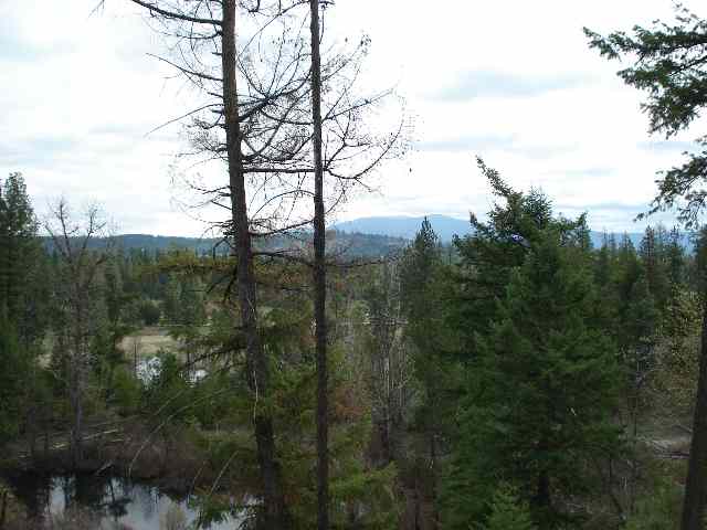 30410 North Findley Road Chattaroy, WA 99003 - Photo 5 of 7 Gallery Image 5