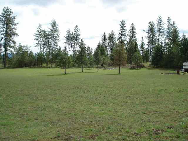 30410 North Findley Road Chattaroy, WA 99003 - Photo 6 of 7 Gallery Image 6