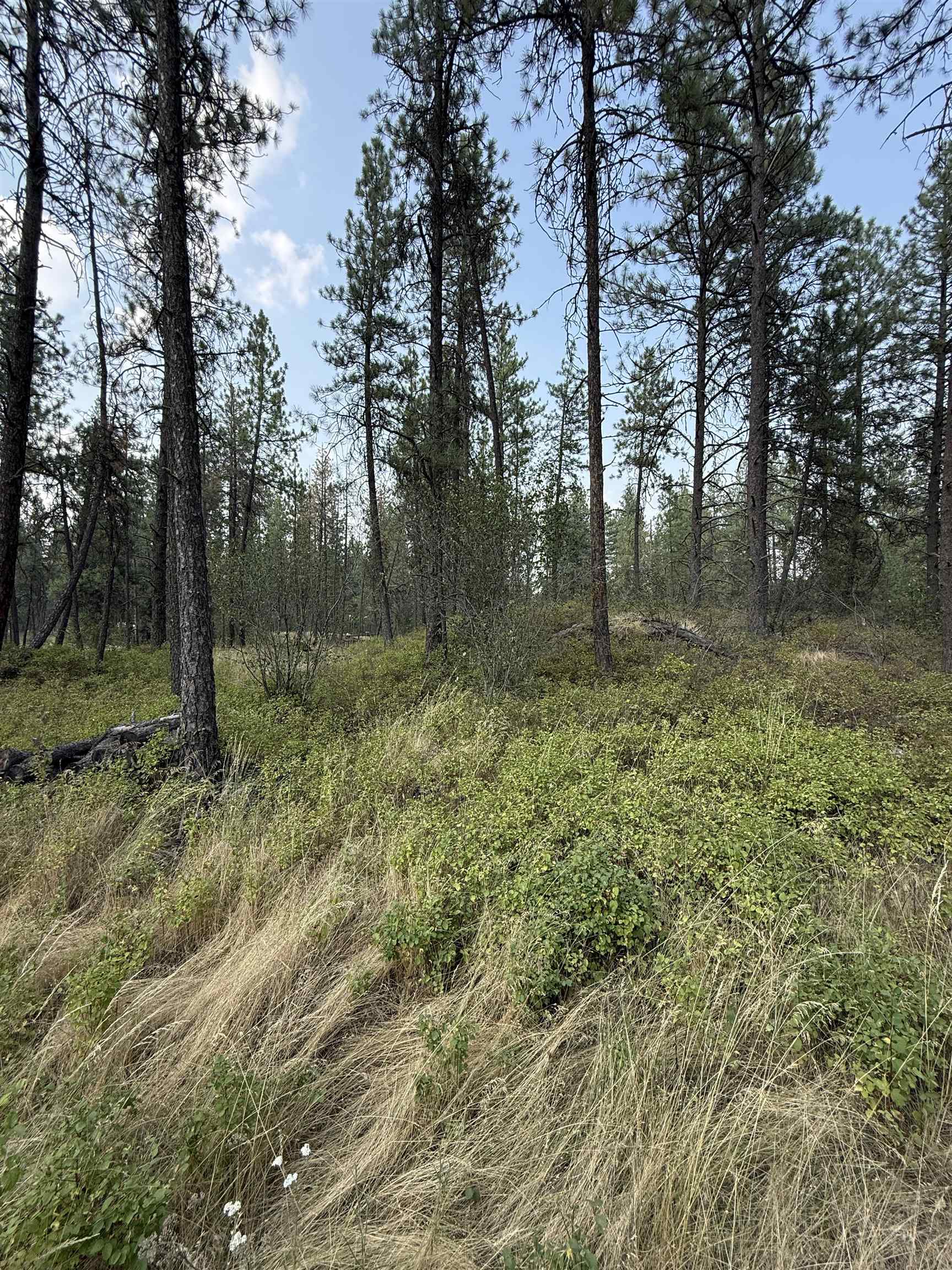 5.11-ac West Malloy Prairie Road Cheney, WA 99004 - Photo 11 of 25