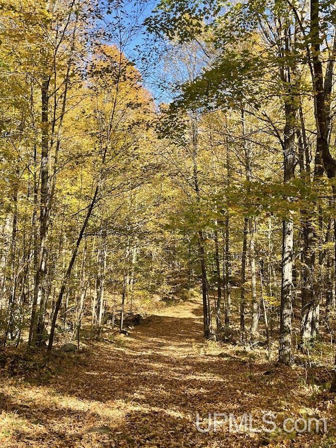 20.99-acres Old J Road Athelstane, WI 54104 - Photo 6 of 10
