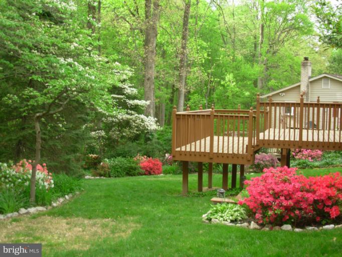 6700 Red Jacket Road Springfield, VA 22152 - Photo 4 of 9 Gorgeous Backyard