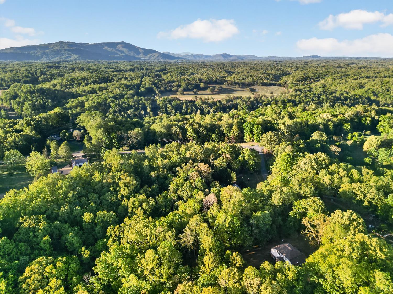 105 Fox Meadows Road Lynchburg, VA 24503 - Photo 82 of 86 Gallery Image 82