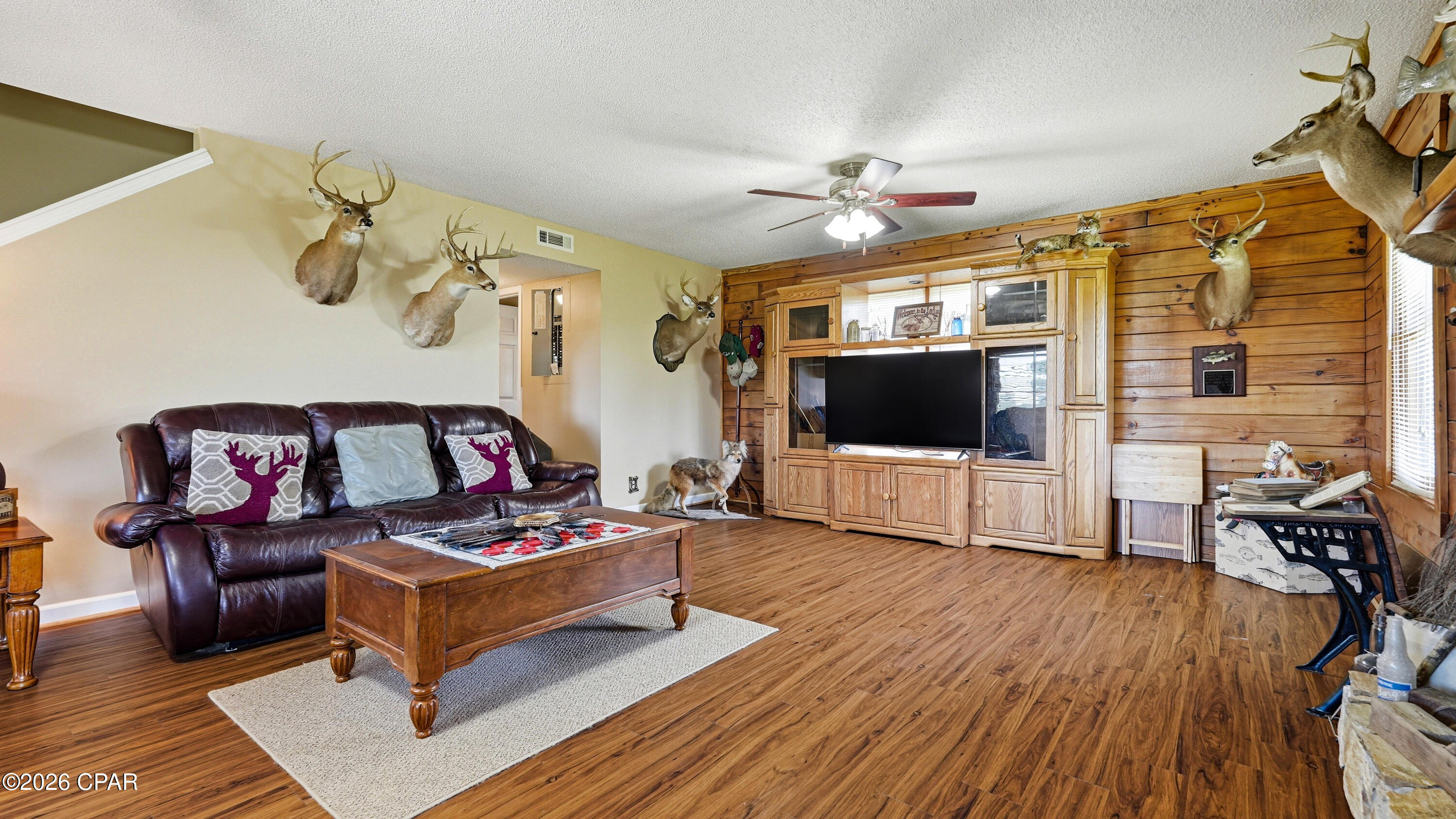 705 Cornwell Road Alford, FL 32420 - Photo 22 of 89