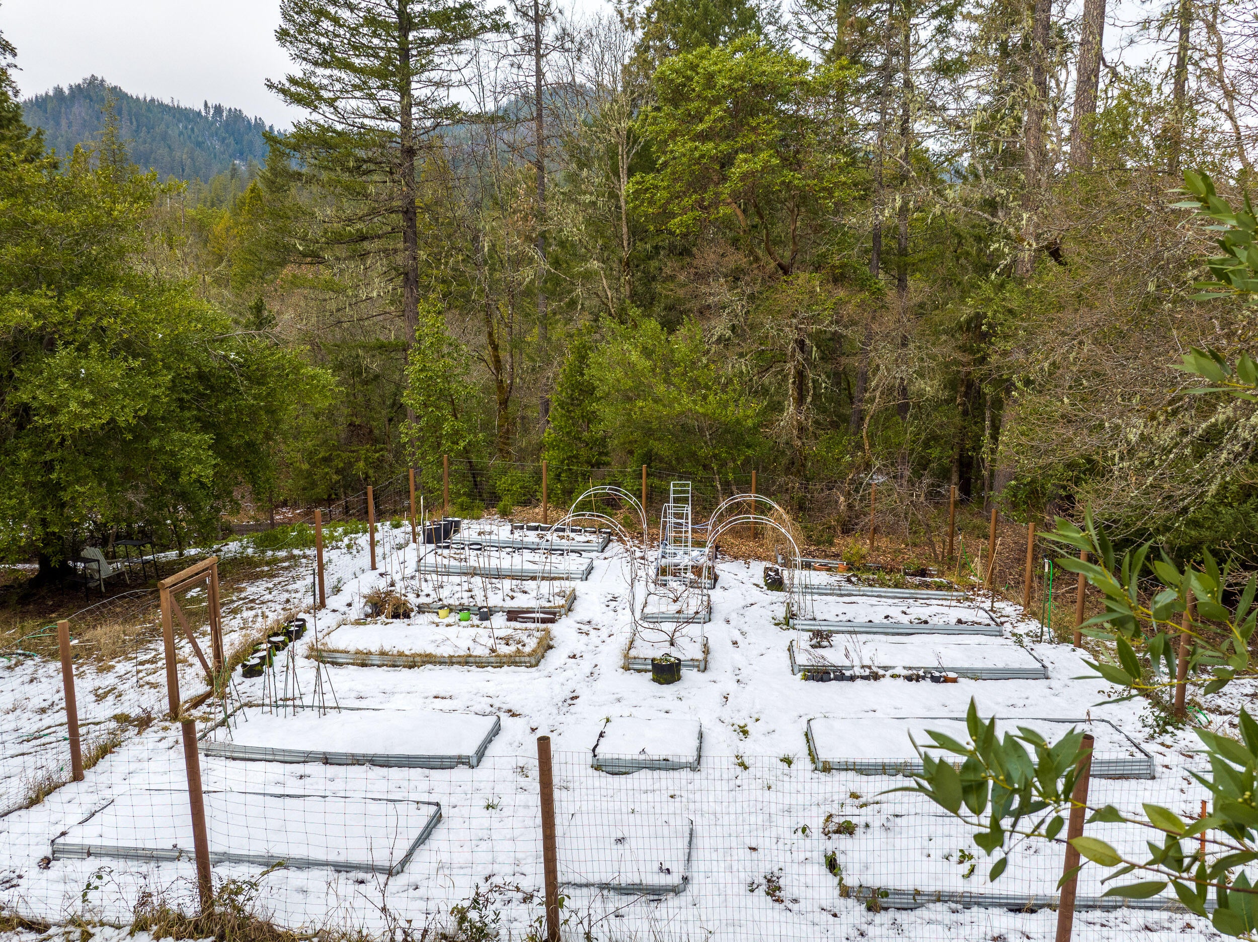 1793 Limpy Creek Road Grants Pass, OR 97527 - Photo 42 of 50 100% organic garden