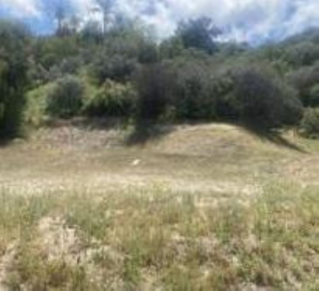 0 Mint Canyon Road, Unit 1 Agua Dulce, CA 91390 - Photo 2 of 3 a view of a yard