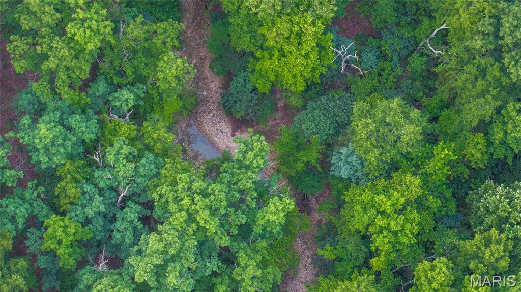 0 Hwy M Cabool, MO 65689 - Photo 5 of 68