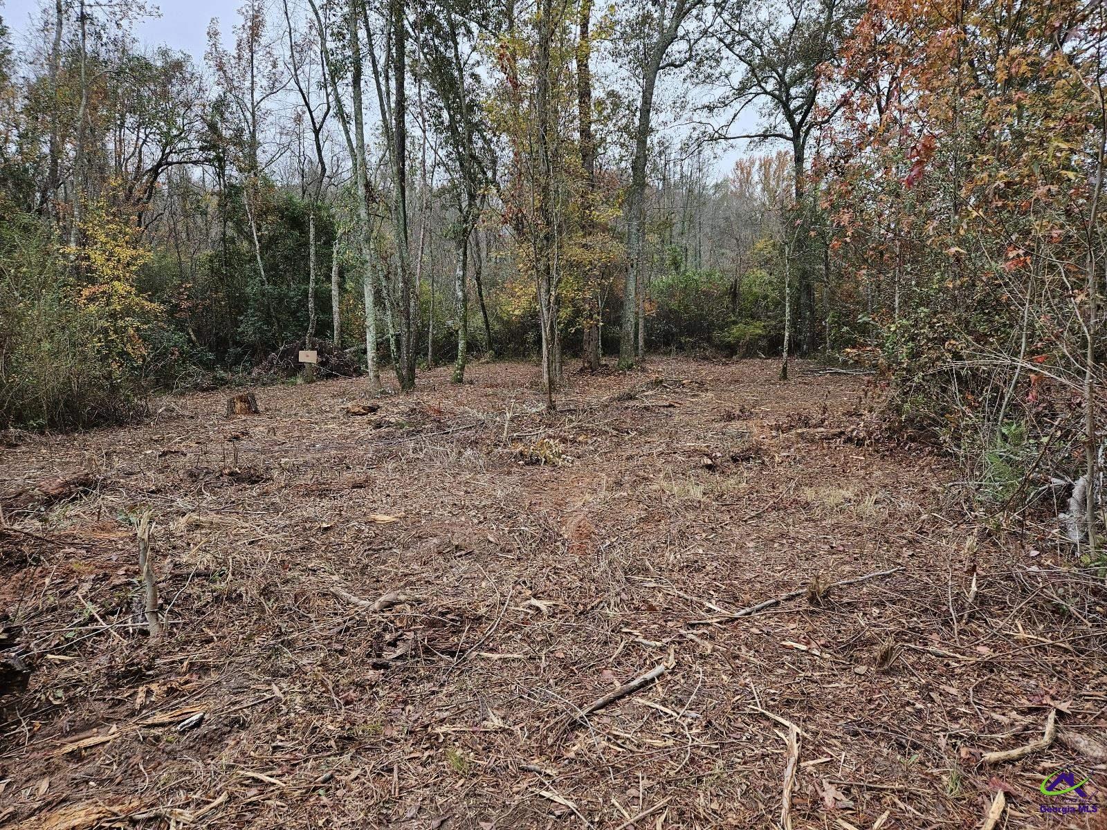 0 Willow Lake Road Fort Valley, GA 31030 - Photo 6 of 9