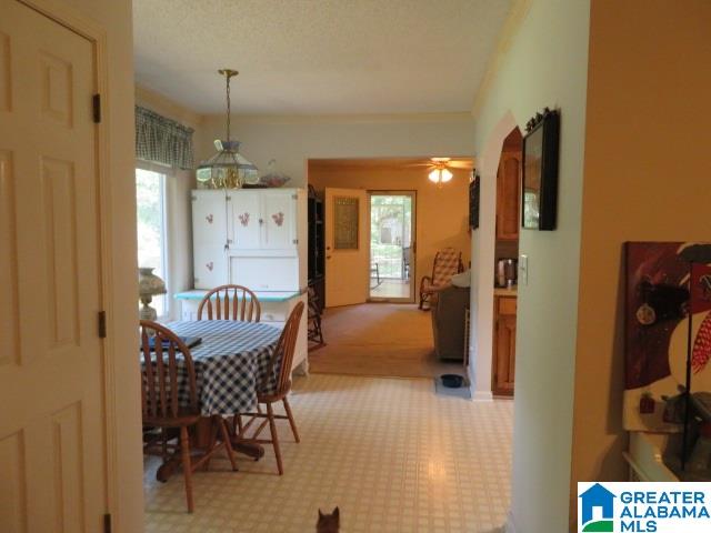 20025 Booler Road Vance, AL 35490 - Photo 24 of 48