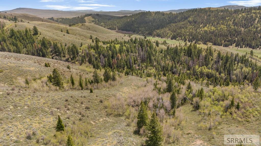 Tbd Sellers Creek Road Firth, ID 83236 - Photo 17 of 32 Gallery Image 17