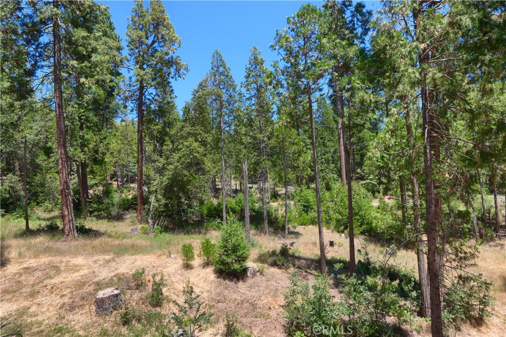 7190 Hites Cove Road Mariposa, CA 95338 - Photo 52 of 61