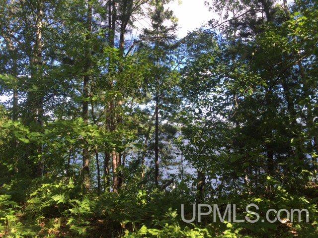 3320 Co Rd 550 Big Bay, MI 49808 - Photo 8 of 8