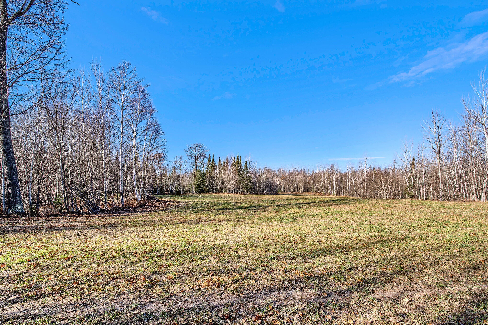 21156 Edgar Road Hillman, MI 49746 - Photo 25 of 32 Gallery Image 25
