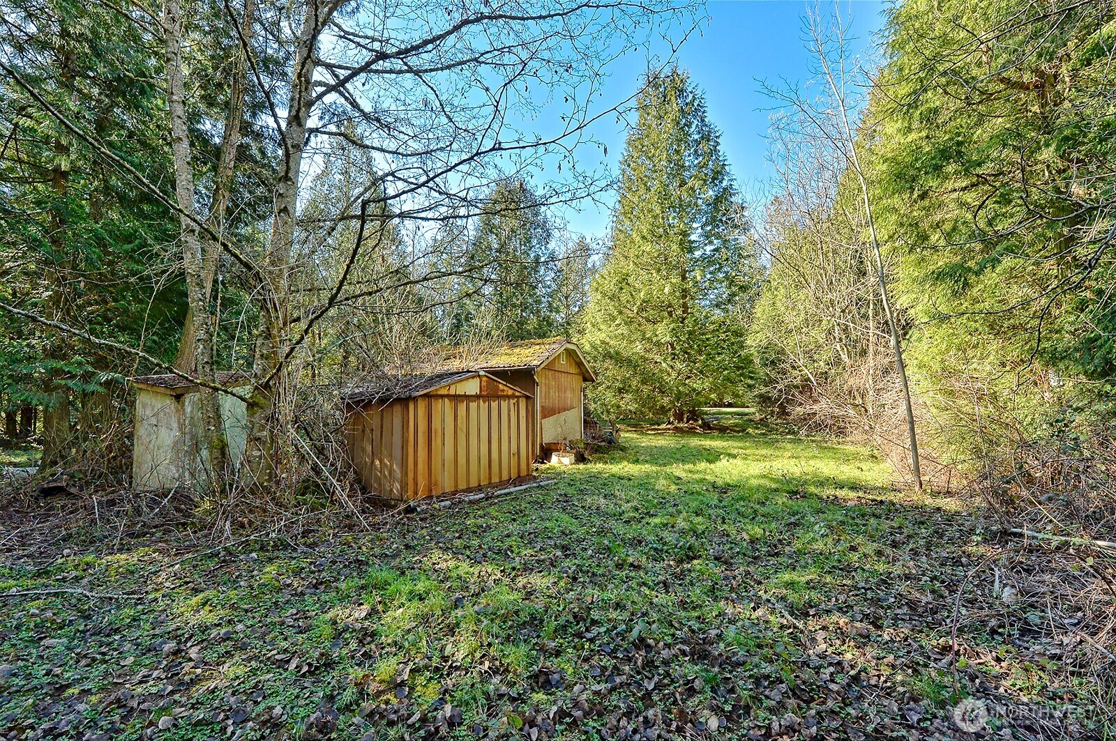 -xx Xx Road Blaine, WA 98230 - Photo 5 of 14