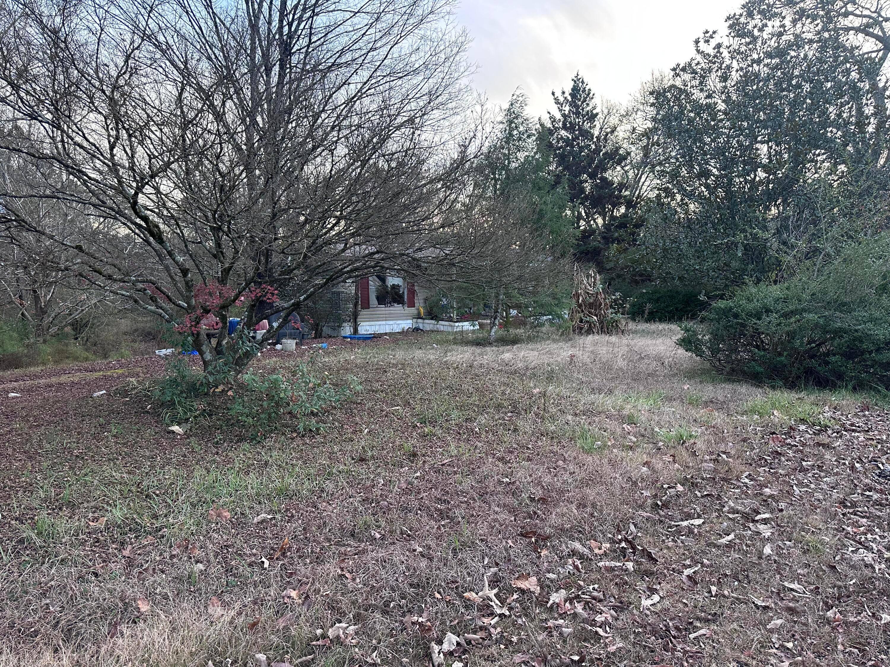 2002 Sipsey Road Jasper, AL 35504 - Photo 1 of 2 IMG_5125