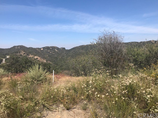 0 Ross Fallbrook Ca Fallbrook, CA 92028 - Photo 6 of 13