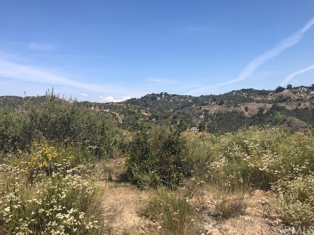 0 Ross Fallbrook Ca Fallbrook, CA 92028 - Photo 7 of 13