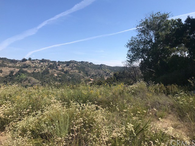 0 Ross Fallbrook Ca Fallbrook, CA 92028 - Photo 8 of 13