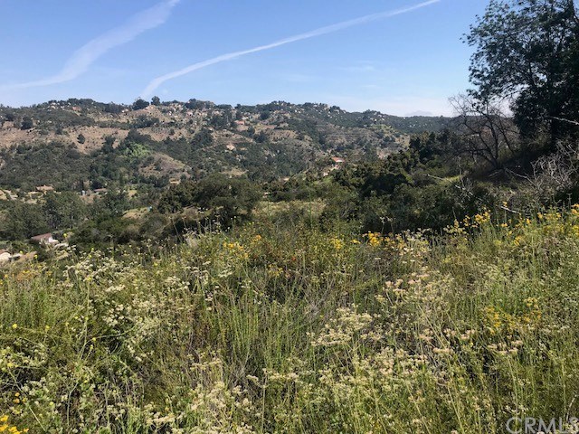 0 Ross Fallbrook Ca Fallbrook, CA 92028 - Photo 9 of 13