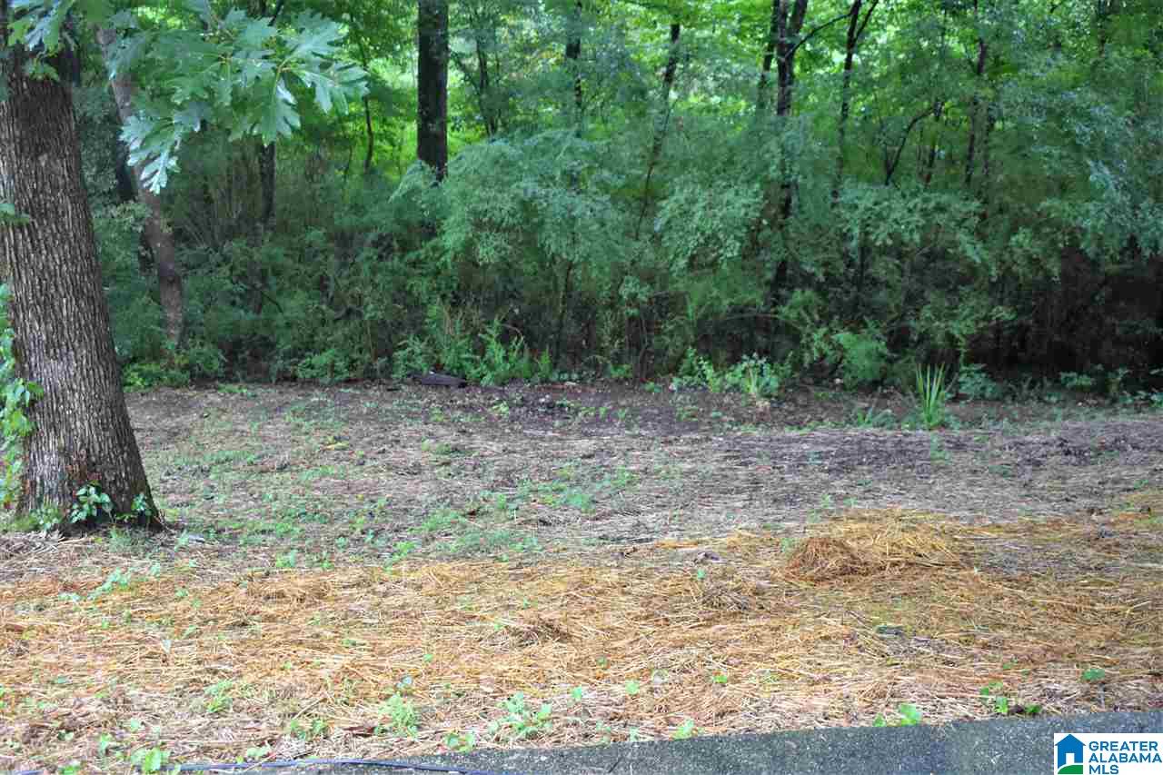 929 Village Mill Road Birmingham, AL 35215 - Photo 32 of 34