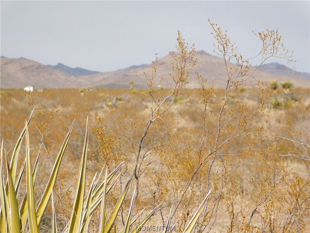 166 169 North Dragoon Road Golden Valley, AZ 86413 - Photo 15 of 21 Gallery Image 15