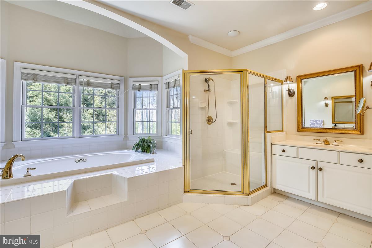 9002 Ridge Lane Vienna, VA 22182 - Photo 40 of 76 Soaking Tub and Separate Shower