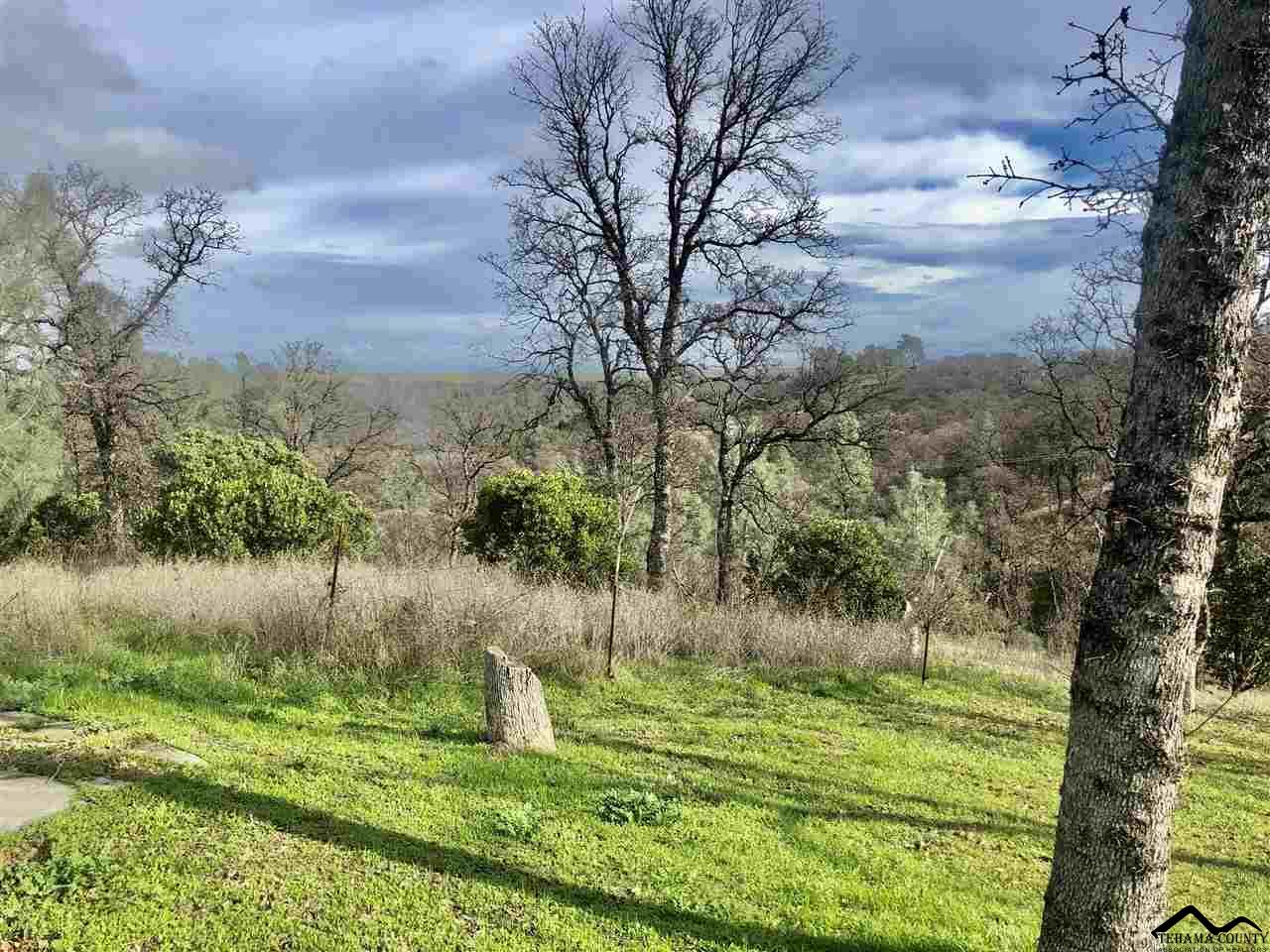 16850 Robinhill Road Corning, CA 96021 - Photo 9 of 32