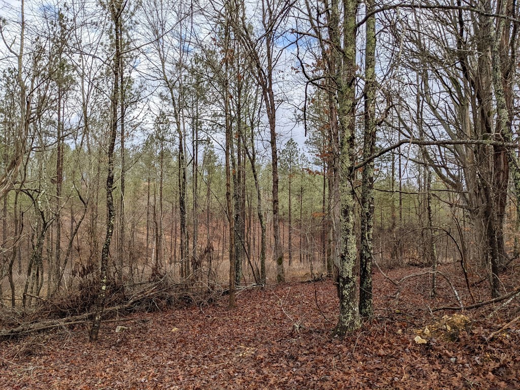 1186 Prigmore Ridge Road Decatur, TN 37322 - Photo 6 of 12