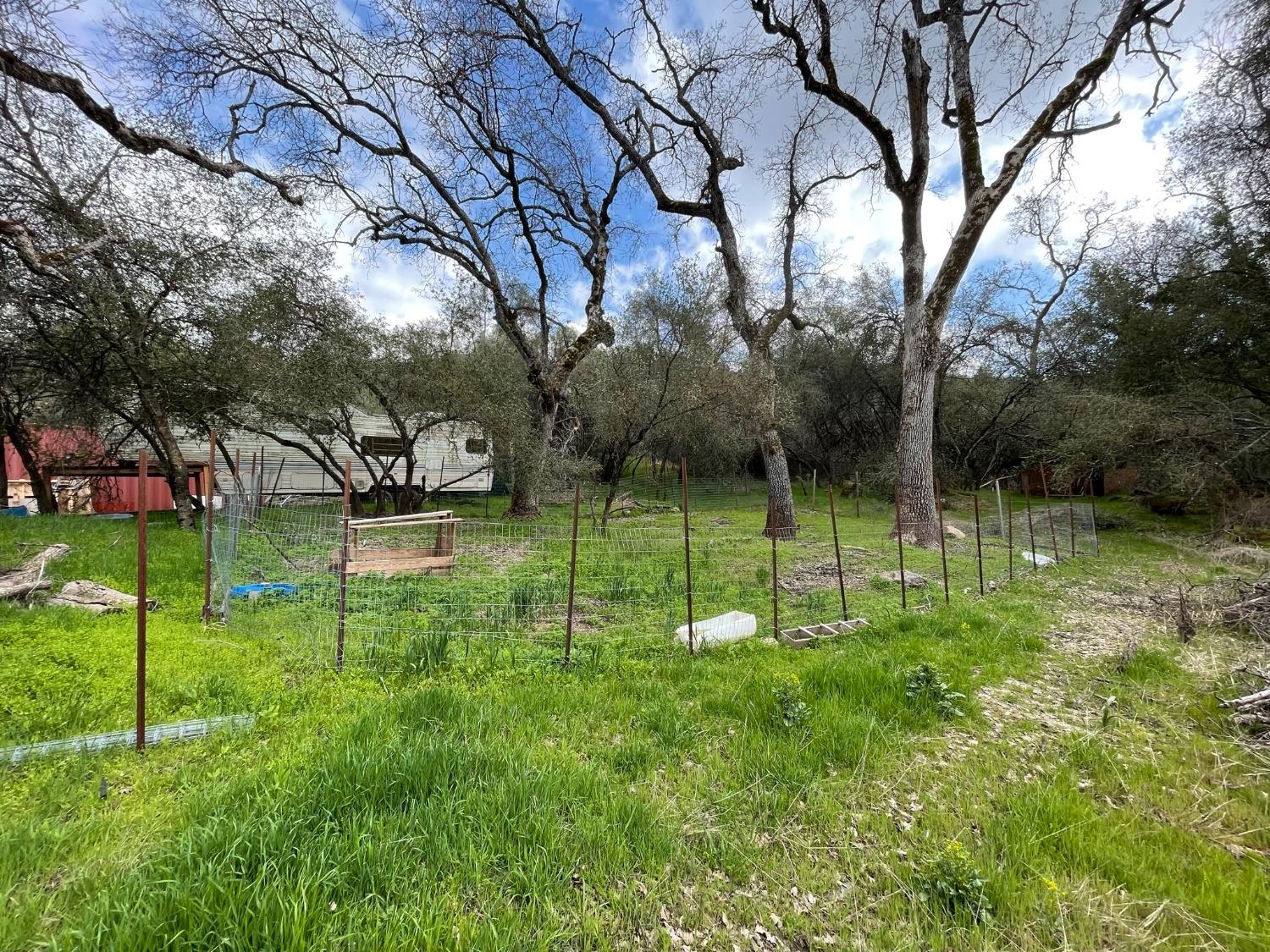 50142 Greenhill Road Squaw Valley, CA 93675 - Photo 6 of 6 Gallery Image 6