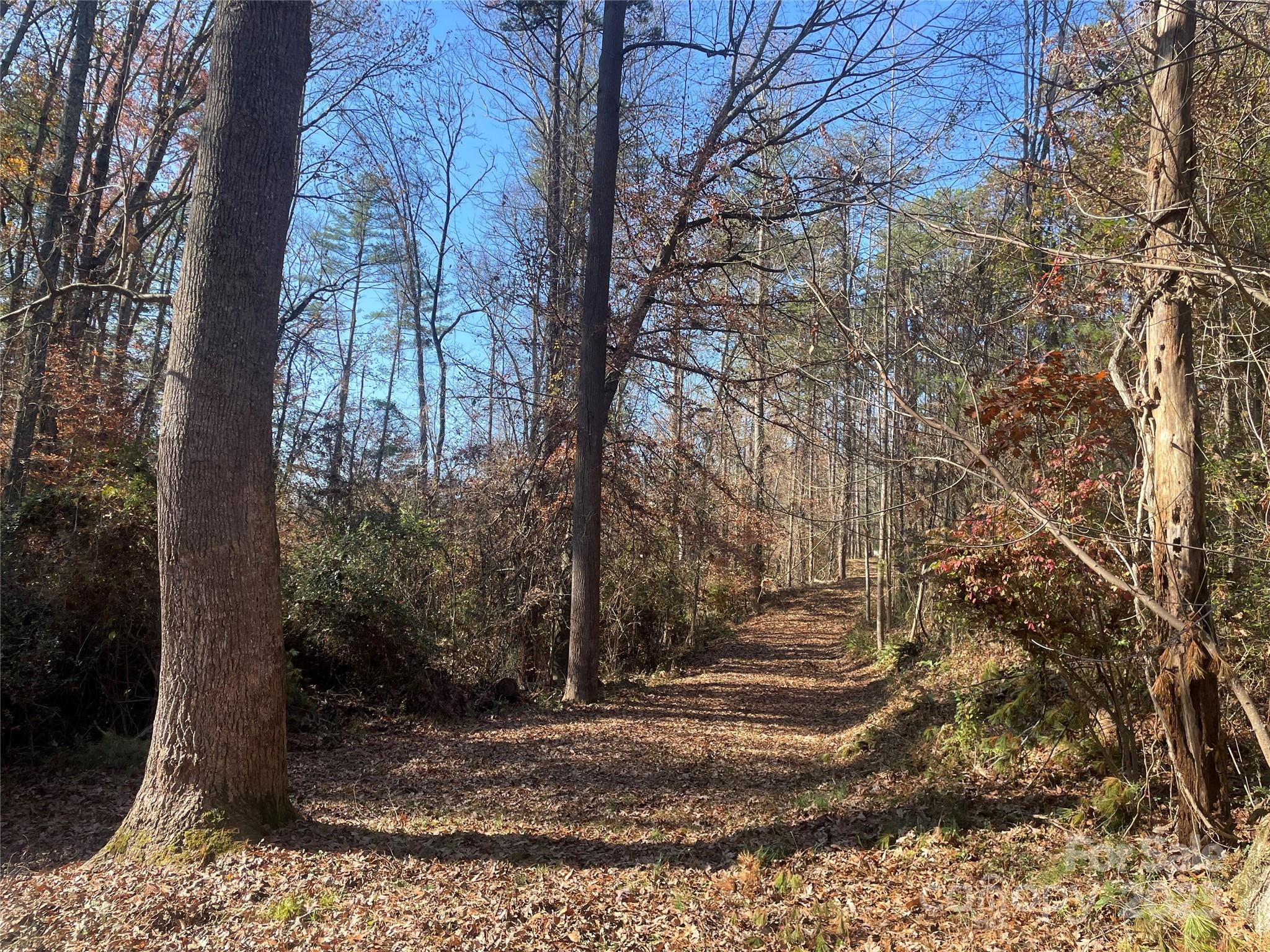 99999 Monticello Road Weaverville, NC 28787 - Photo 1 of 25 a view of yard