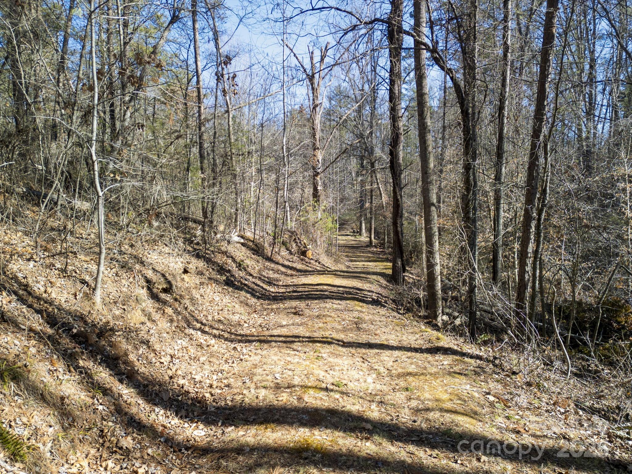 99999 Monticello Road Weaverville, NC 28787 - Photo 11 of 25 a view of wooden fence and trees