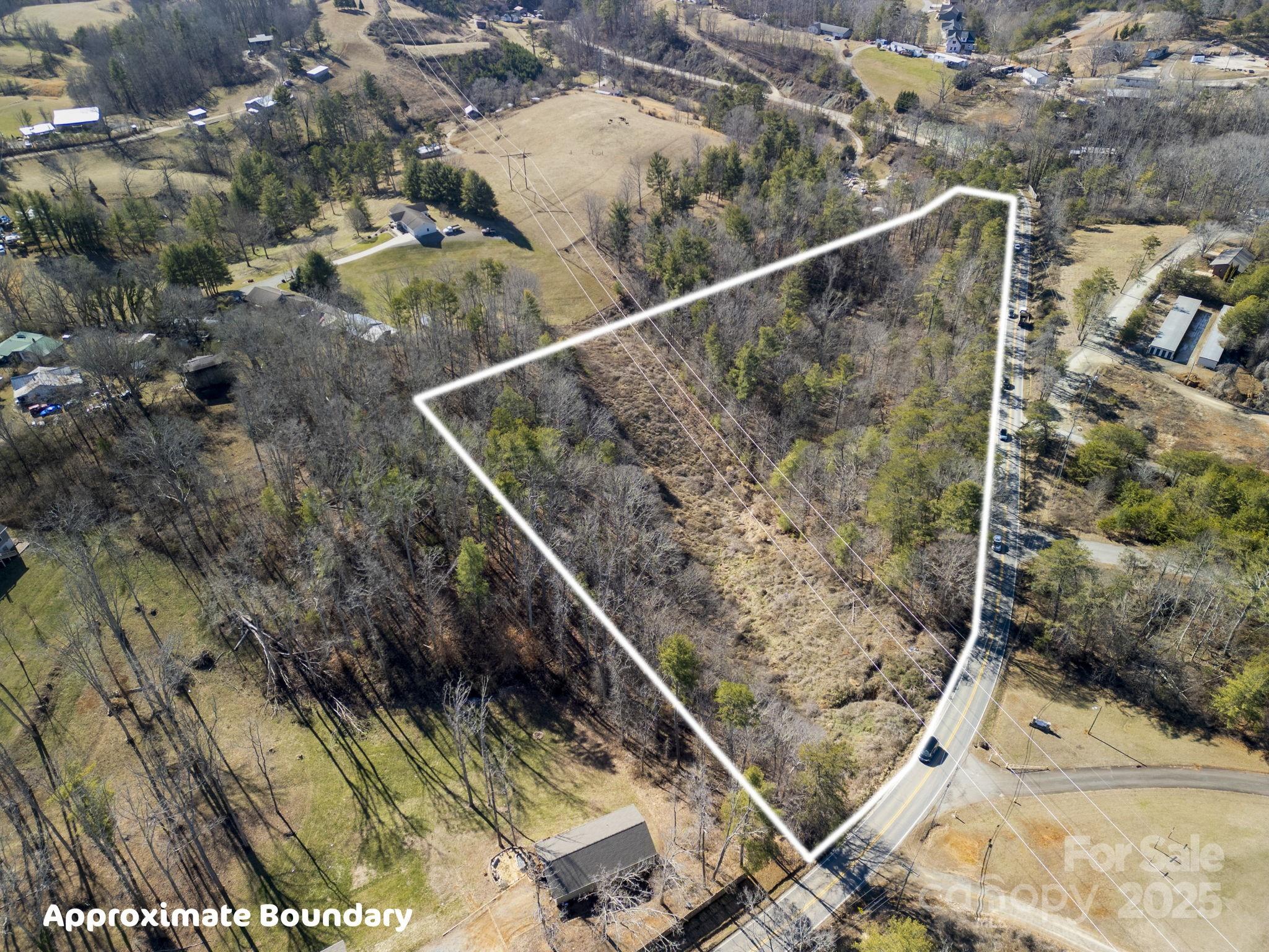 99999 Monticello Road Weaverville, NC 28787 - Photo 15 of 25 a view of a forest