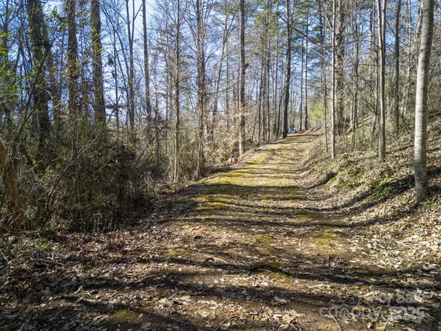 a view of a yard with large trees