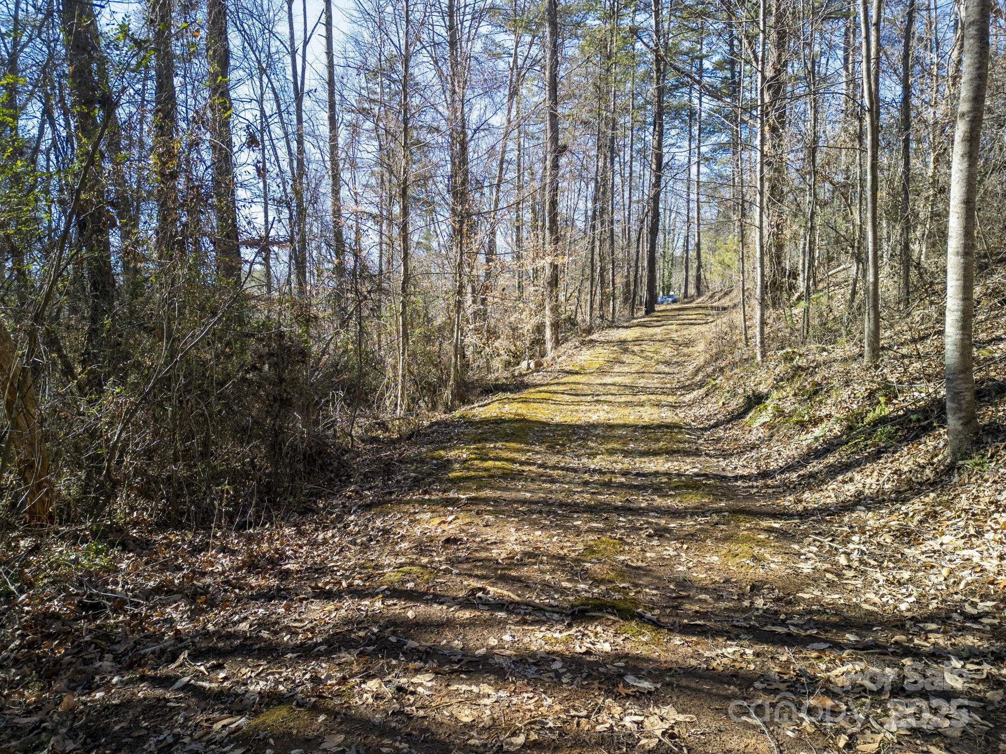 99999 Monticello Road Weaverville, NC 28787 - Photo 7 of 25