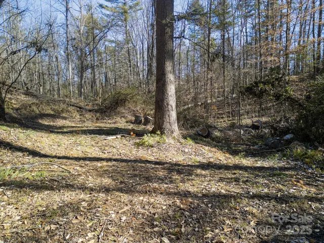 a view of a bathroom with a bathtub
