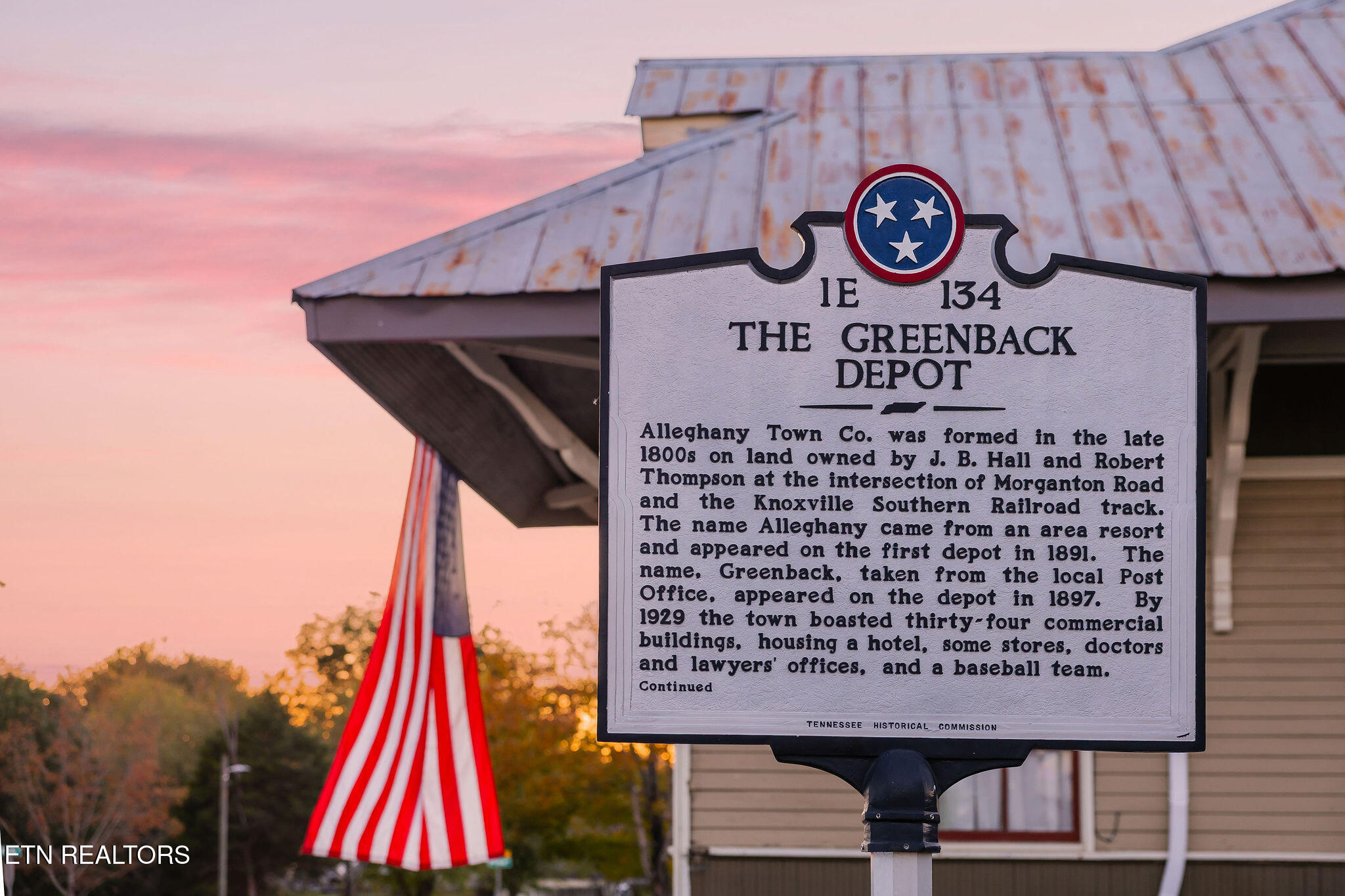 6736 Morganton Road Greenback, TN 37742 - Photo 58 of 60 DepotSky8