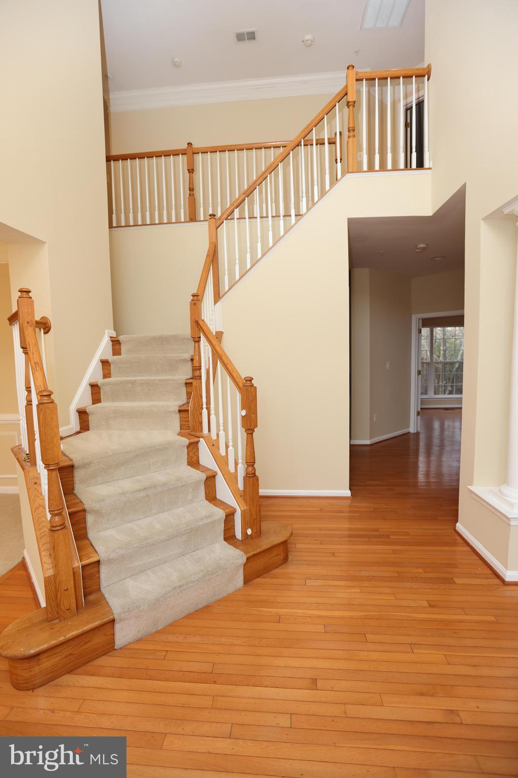 9906 Farm Pond Road Laurel, MD 20708 - Photo 2 of 58