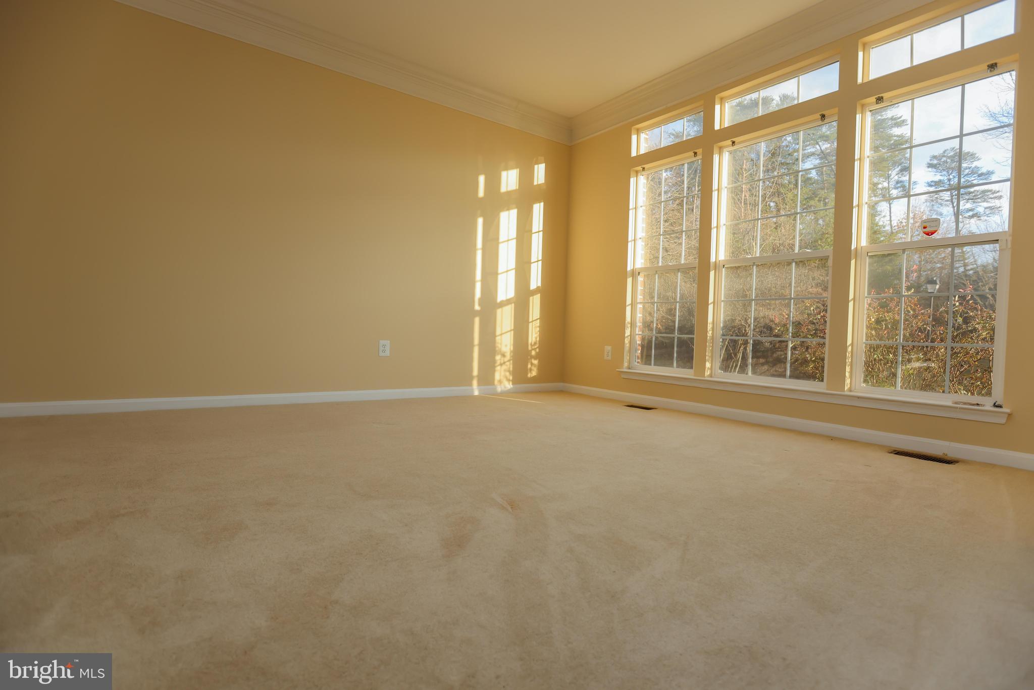 9906 Farm Pond Road Laurel, MD 20708 - Photo 5 of 58