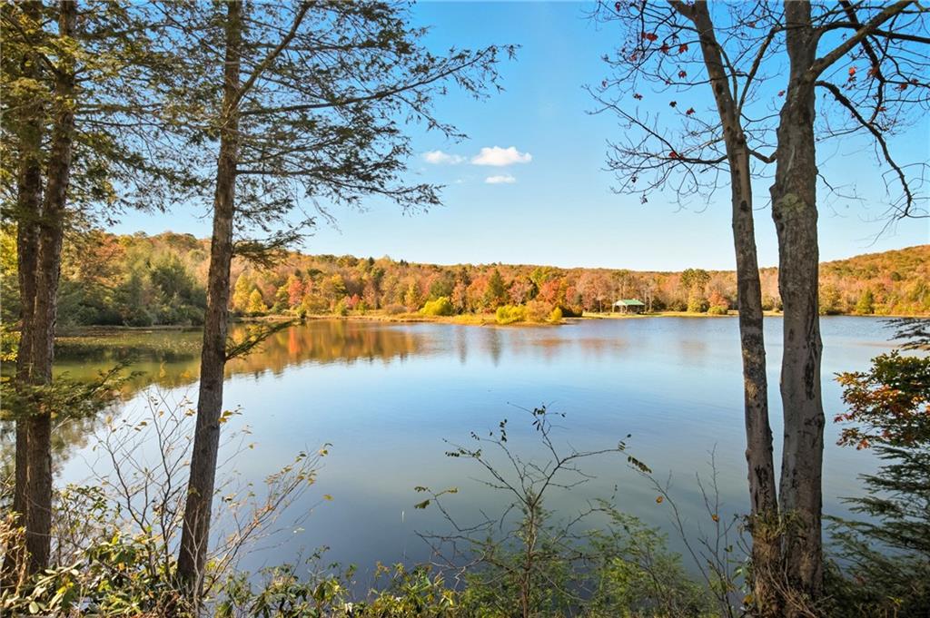 170 Fox Hill Road Meyersdale, PA 15552 - Photo 26 of 43