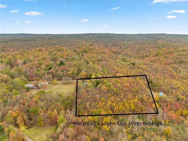 a view of lake with city